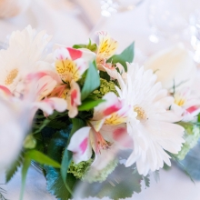 UZH_Aging_Cognition_0448_2017