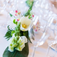 UZH_Aging_Cognition_0455_2017